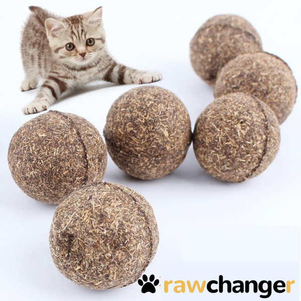 Catnip balls in PREMIUM QUALITY