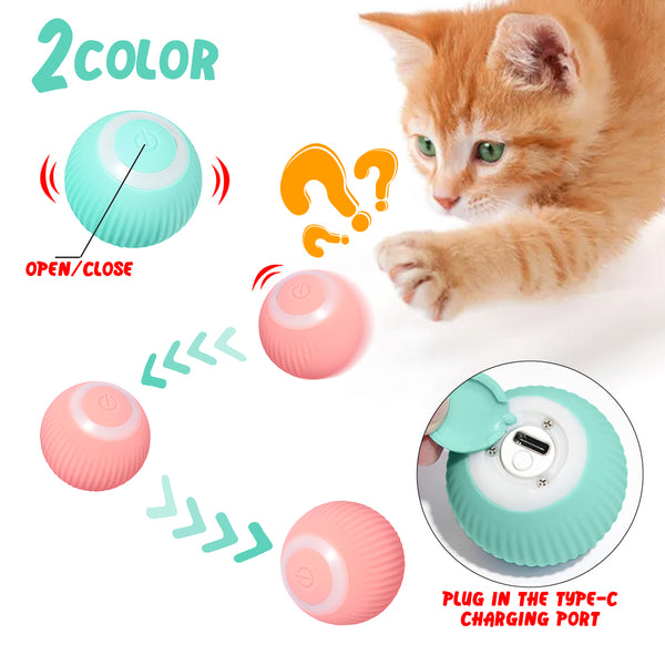 Smart Cat Toys Automatischer rollender Ball