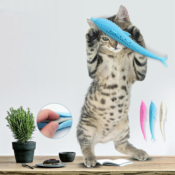 Tooth cleaner for cats (fish shape)