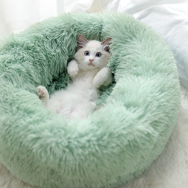 Marshmallow Bed for Pets