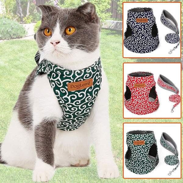 Cat harness including leash in SET