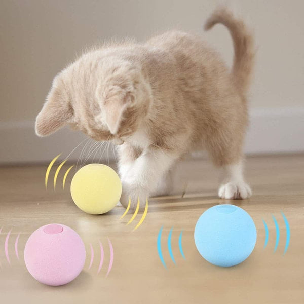 SMART Ball (with catnip)