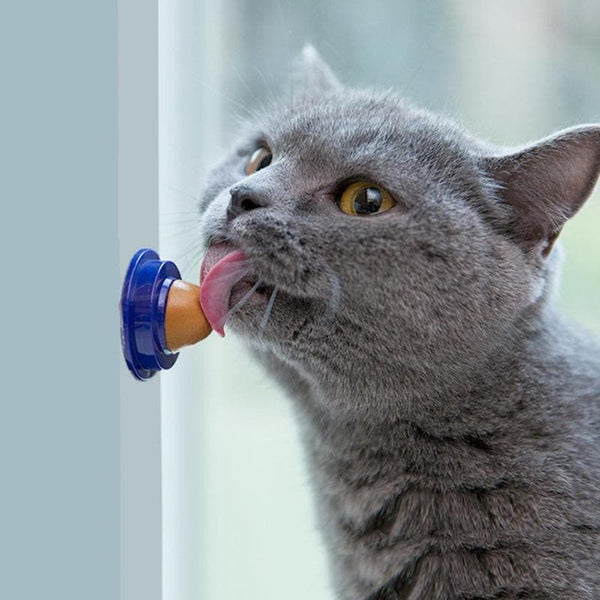Nutritional supplements for cats 